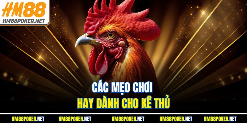 Các mẹo chơi hay dành cho kê thủ