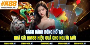 Cách Đánh Rồng Hổ Tại Nhà Cái HM88 Hiệu Quả Cho Người Mới