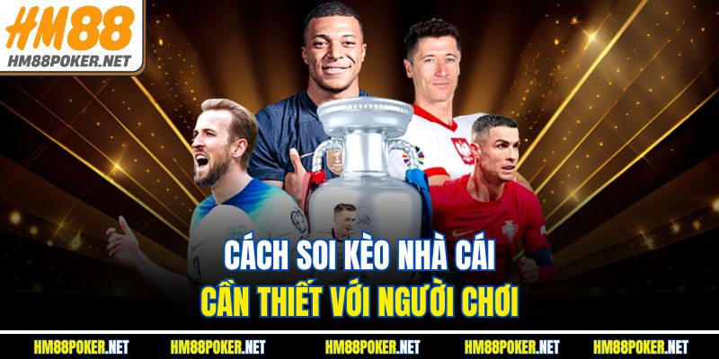 Cách soi kèo nhà cái cần thiết với người chơi