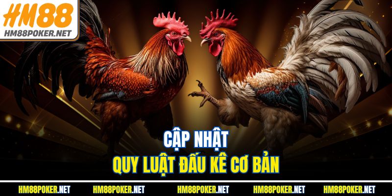 Cập nhật quy luật đấu kê cơ bản