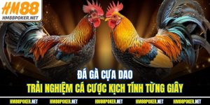 Đá Gà Cựa Dao – Trải Nghiệm Cá Cược Kịch Tính Từng Giây