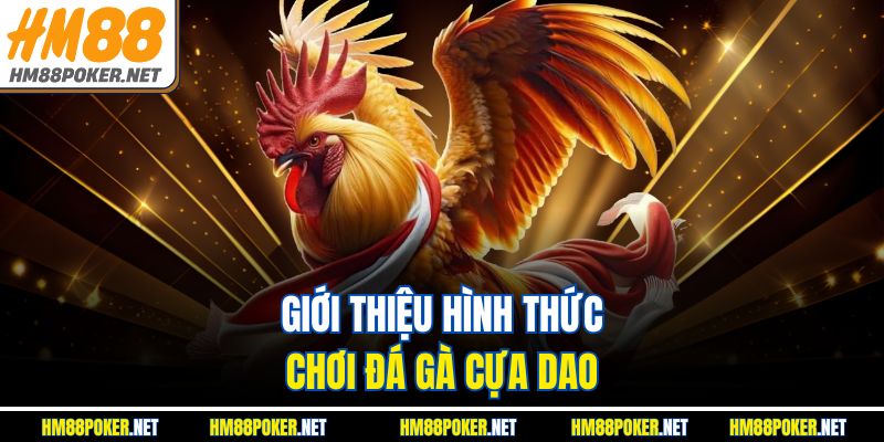 Giới thiệu hình thức chơi đá gà cựa dao