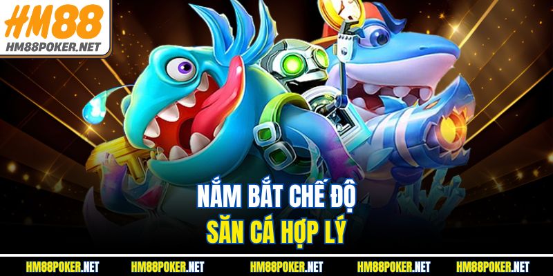 Nắm bắt chế độ săn cá hợp lý