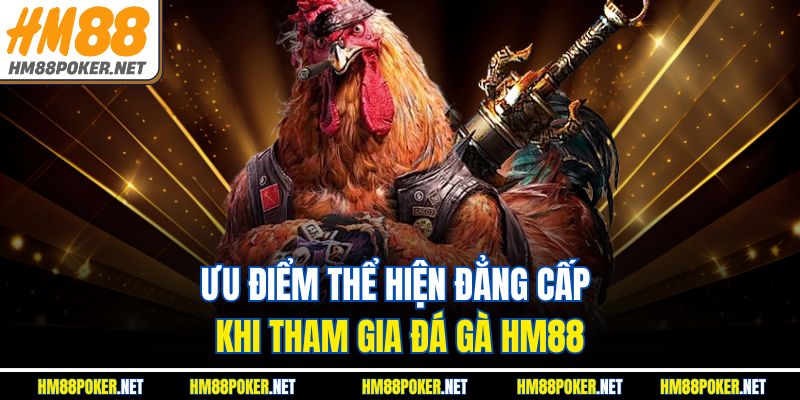 Ưu điểm thể hiện đẳng cấp khi tham gia Đá Gà HM88